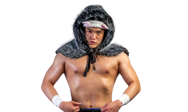 Son Vu Ho
